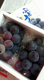 20110830133711.jpg