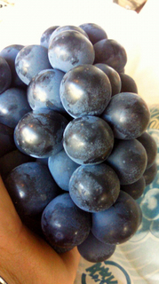 20110913114626.jpg
