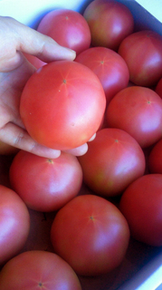 20110914134439.jpg