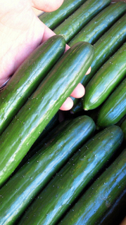 20110914134441.jpg